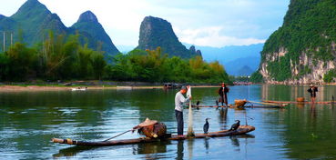 校工會 院工會二 三 四分會組織會員到桂林旅游