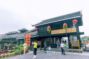 桂林旅游攻略桂林旅游攻略女漢紙與青春的碰撞 陽朔3天2夜詳細旅游文章