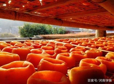 桂林最全旅游攻略 去桂林旅游必打卡的7個(gè)景點(diǎn)