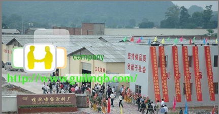 桂林山水甲天下 一次心靈與自然的邂逅